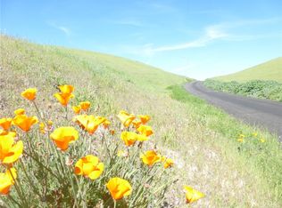 0 Douglas Rd LOT 28, San Miguel, CA 93451