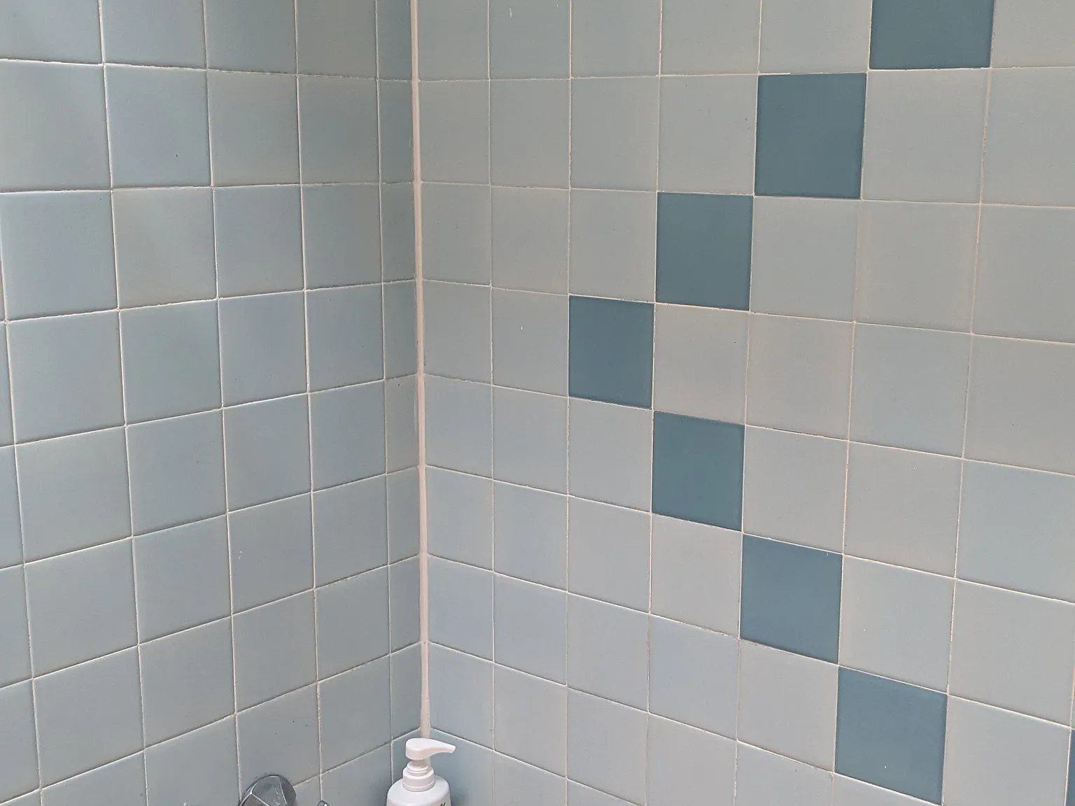 2 bed, 1300 sqft, $1,300 — Photo 3