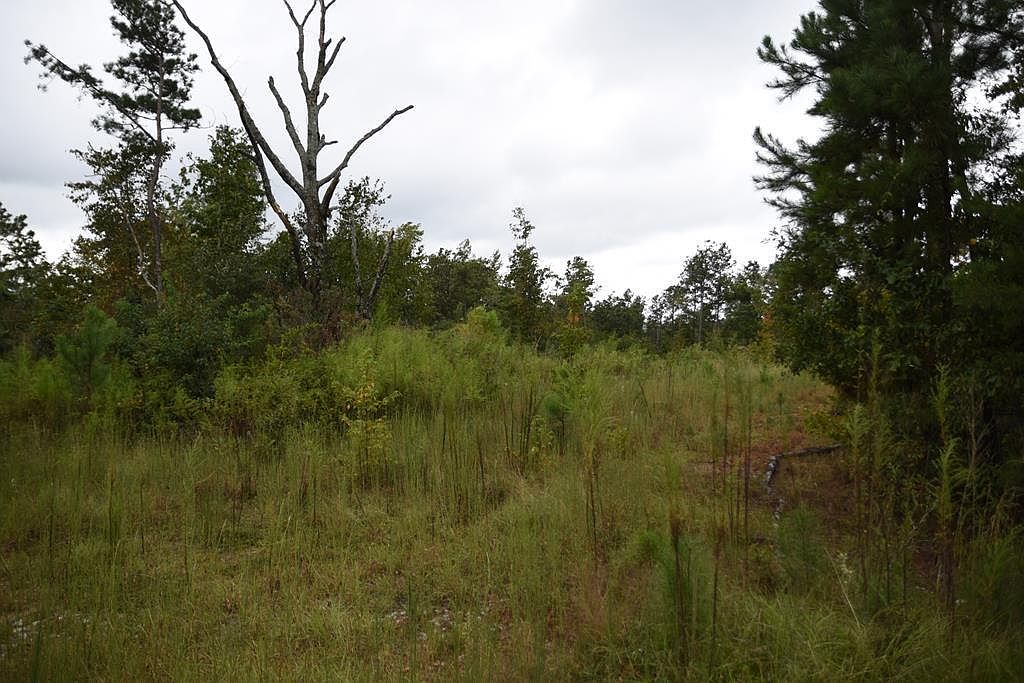 0 Irvin Rd, Shiloh, GA 31826 Zillow