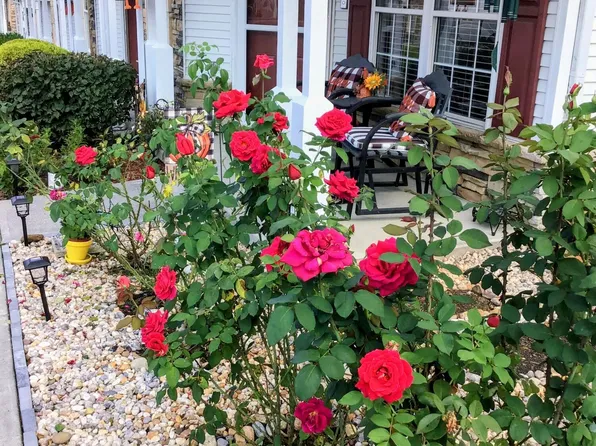 527 Orchard Valley Way, Sevierville, TN 37862