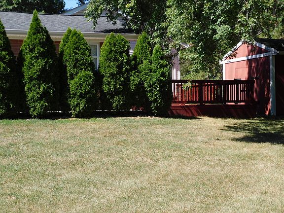 Secluded deck, Arborvitae