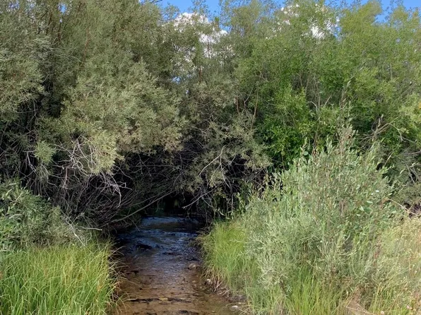 Willow Cove Ave, Pinedale, WY 82941