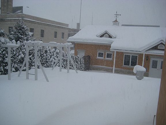 backyard leading to carriage house