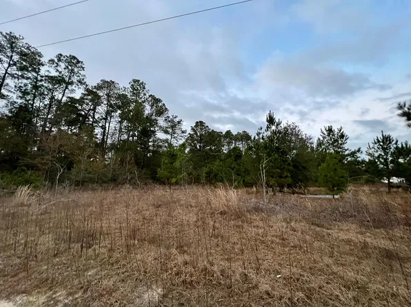 LOT 17 Fox Chase Dr, Wewahitchka, FL 32465