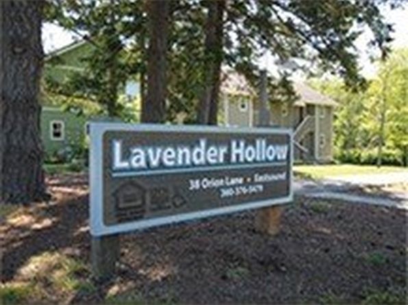 Lavender Hollow | 38 Orion Ln, Eastsound, WA
