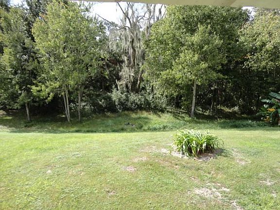 Back yard