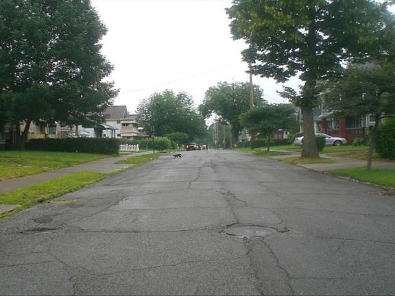 5th image of 12208 Rexford Ave