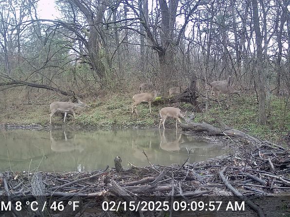 6514 Joyce Ln, Sherman, TX 75092
