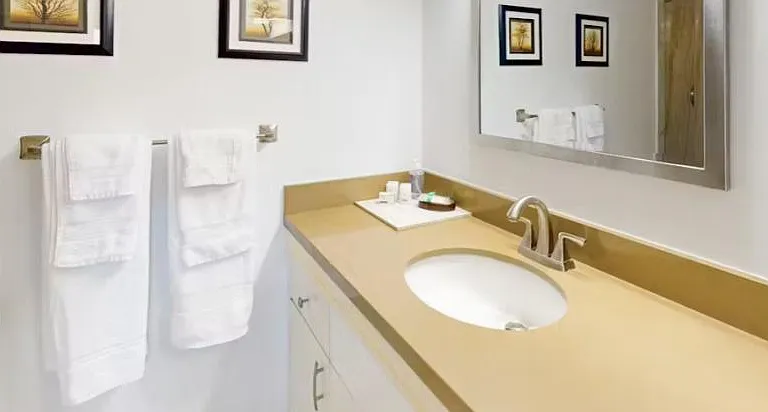 509 Hibiscus Ave #5 — Photo 14