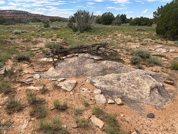 3rd image of 1771 W Ridgeview Ranch Rd