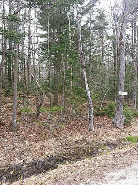 2nd image of Lot 2 Baker Road