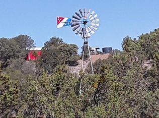 111 Ladybug Ln, Capitan, NM 88316