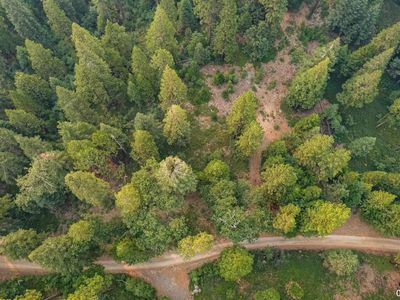 Bottini Apple Ranch Rd, Mi Wuk Village, CA, 95346