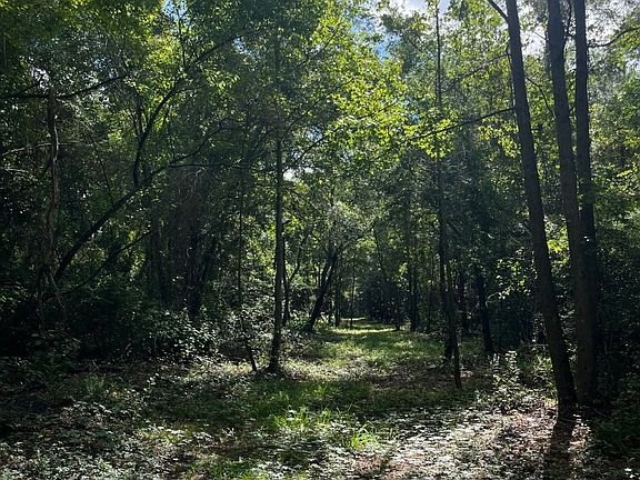 3rd image of 0 Old Camp Rd