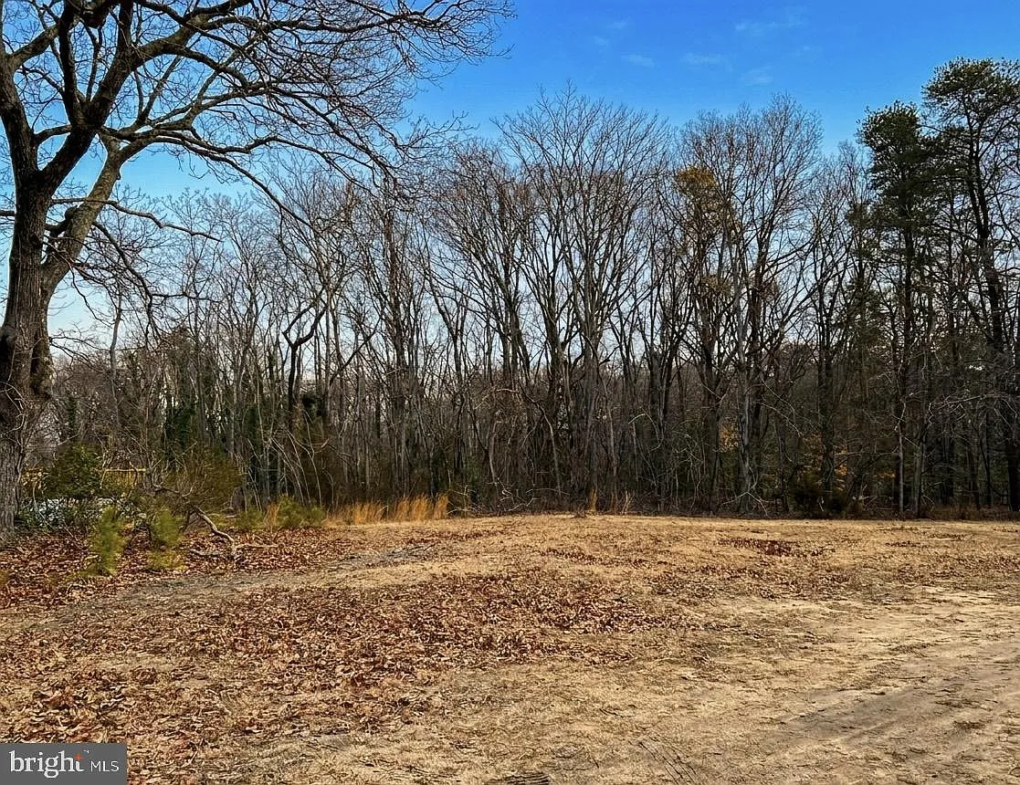 12156 Rousby Hall Rd photo 1