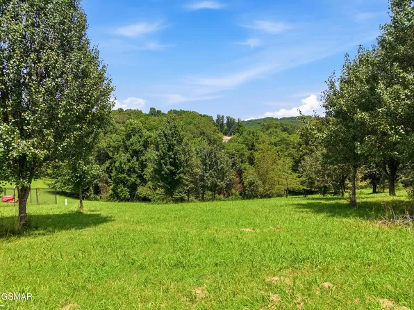 47 River Cliff Dr, Kodak, TN 37764
