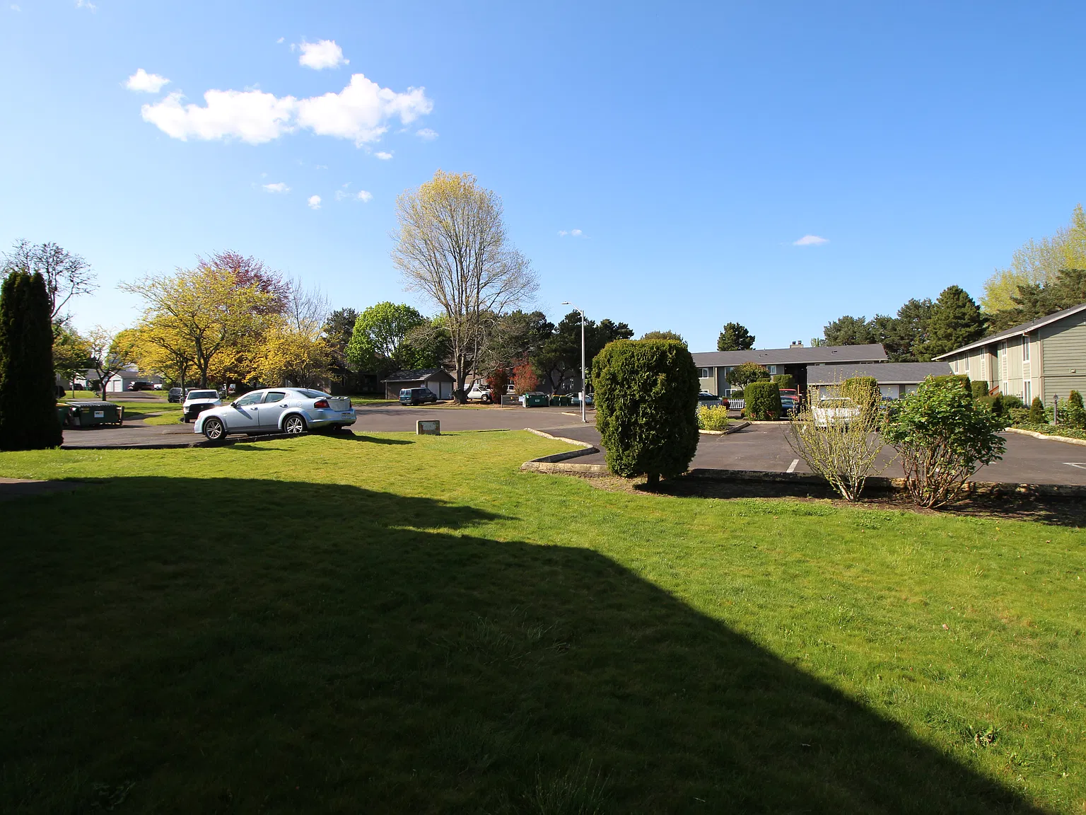 1 bed, 768 sqft, $1,365 — Photo 3