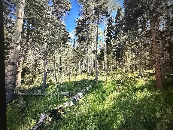 4th image of LOT 23 Elk Ridge Rd