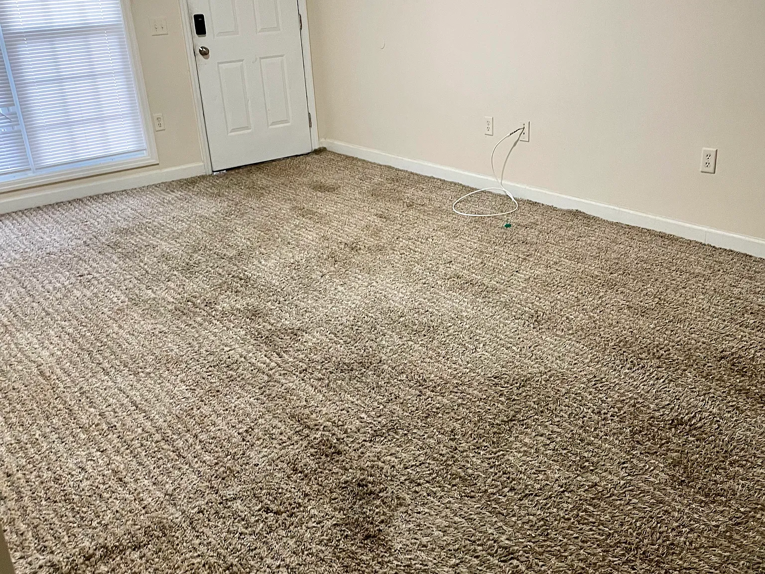 2 bed, 1000 sqft, $1,000 — Photo 2