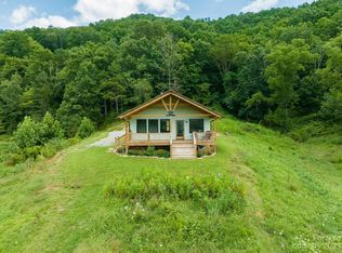 207 Worley Cove Rd, Leicester, NC 28748