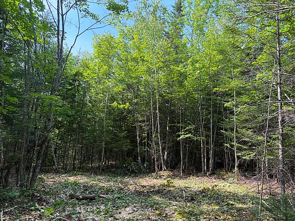 5th image of Lot 4,5,6 Holley Road