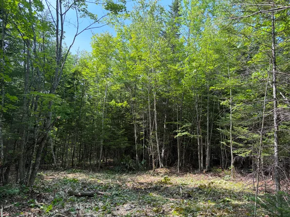 Lot 5 Holley Road, Farmington, ME 04938