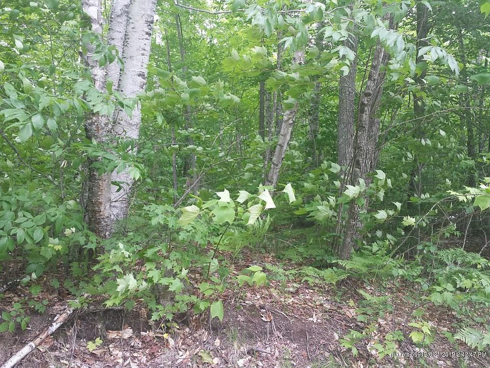 2nd image of 2027 Fox Hollow Rd