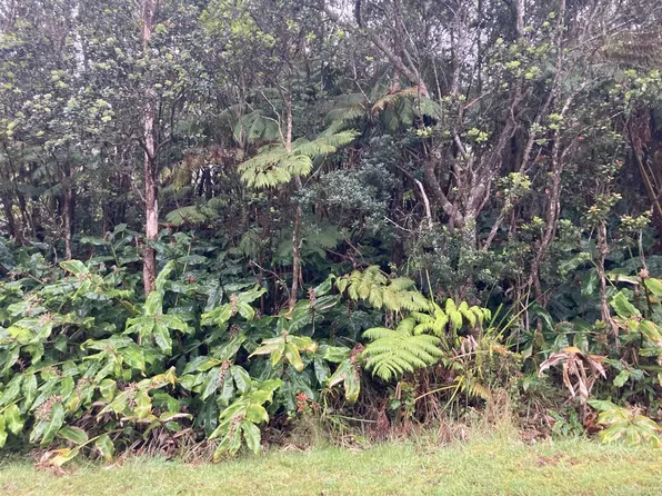 Nahelenani St Lot 53-B-622, Volcano, HI 96785