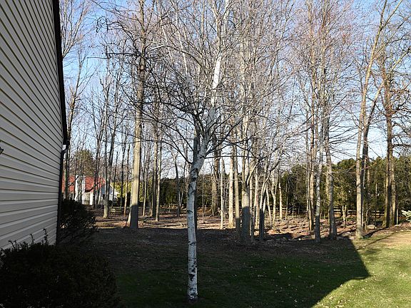 2nd image of 598 Chancellor Ct
