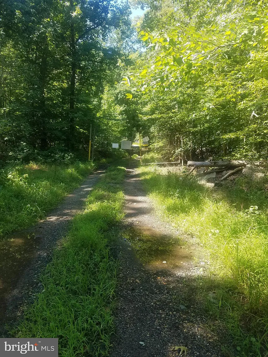 7285 Billingsley Rd photo 1