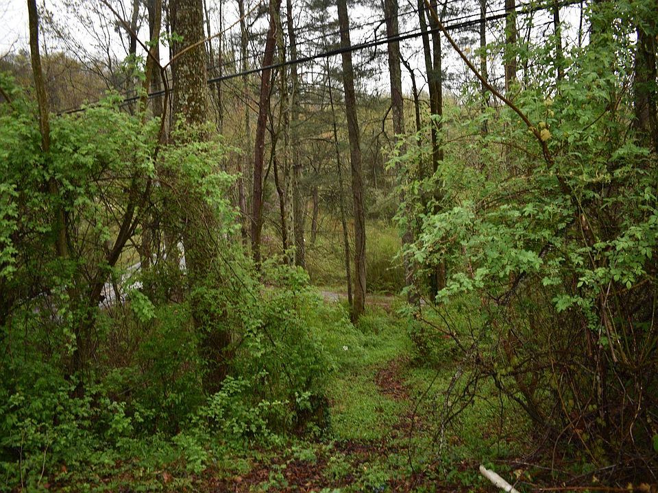 1st image of 0 Buffalo Branch Rd