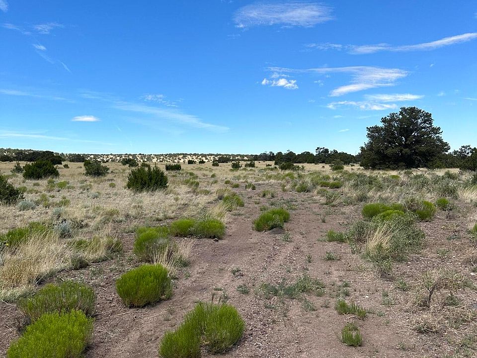 204 Prarie Winds, Quemado, NM 87829 Zillow