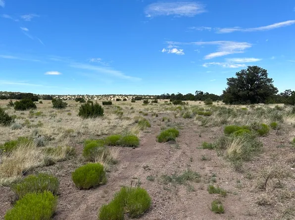 204 Prarie Winds, Quemado, NM 87829
