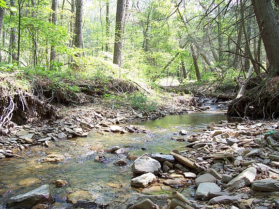 Streams run thru property