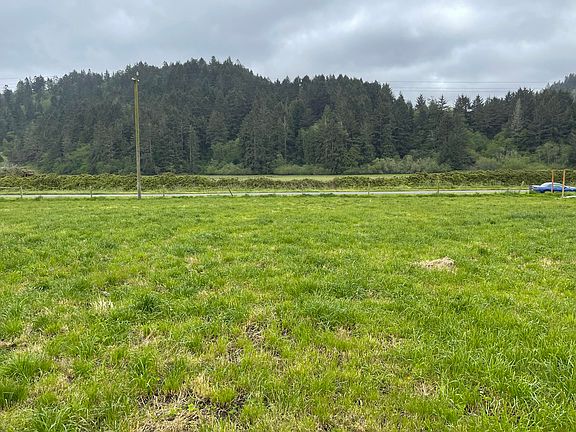 5th image of 1561 Grizzly Bluff Rd