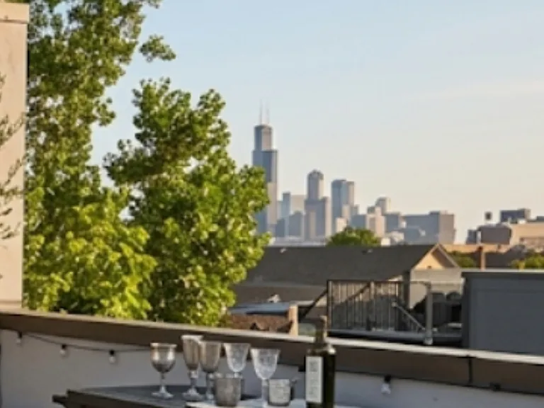 1756 W Cullerton St #3 — Photo 19