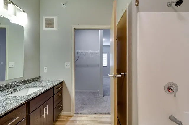Master Bath and Closet Master Bath and Closet