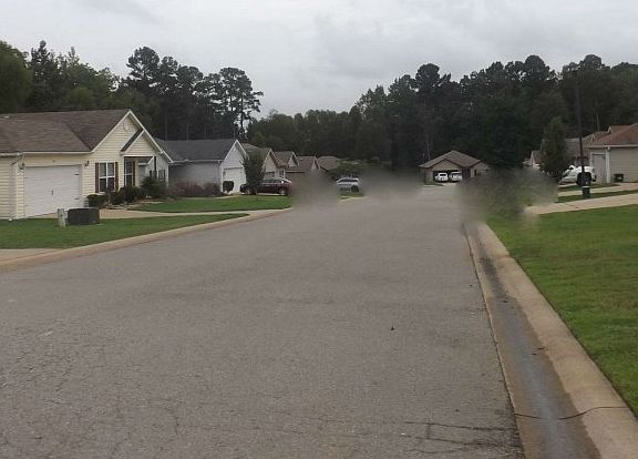 5th image of 4861 Tall Grass Dr