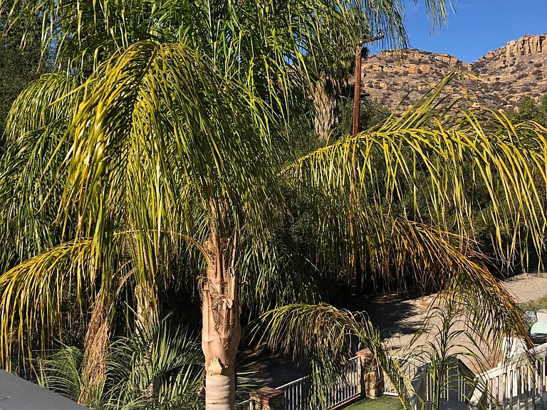 9236 Ventura Way — Photo 35