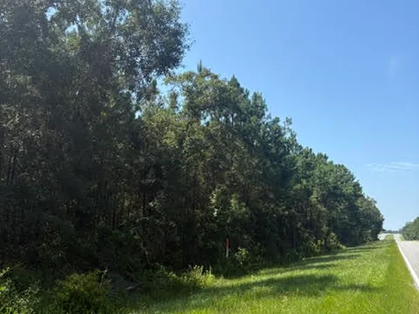 0 Blueberry Dr, Sneads, FL 32460