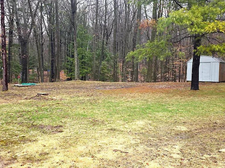 Yard & Shed