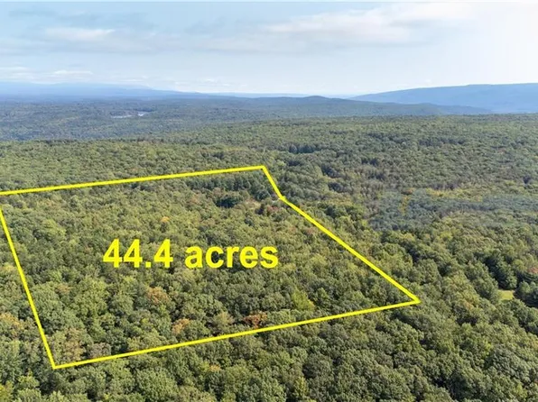 123 Dunn Town Road, Fallsburg, NY 12733