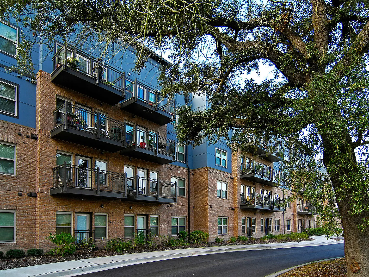 Fellwood III — Photo 2