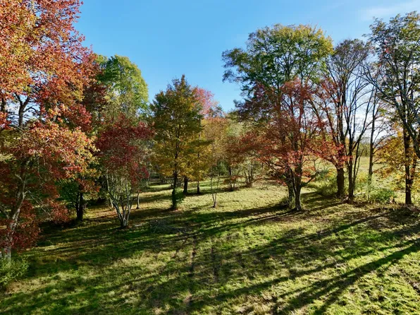 0 Stony Rd, Cochecton, NY 12726