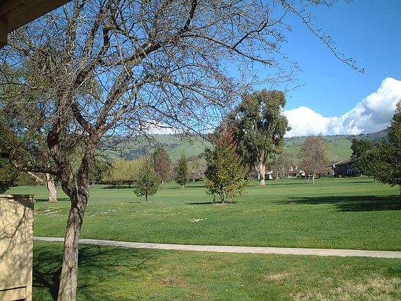 View from family room