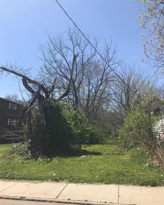 2nd image of 557 Miller Ave