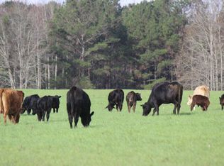 539 Pummy Rd, Ochlocknee, GA 31773