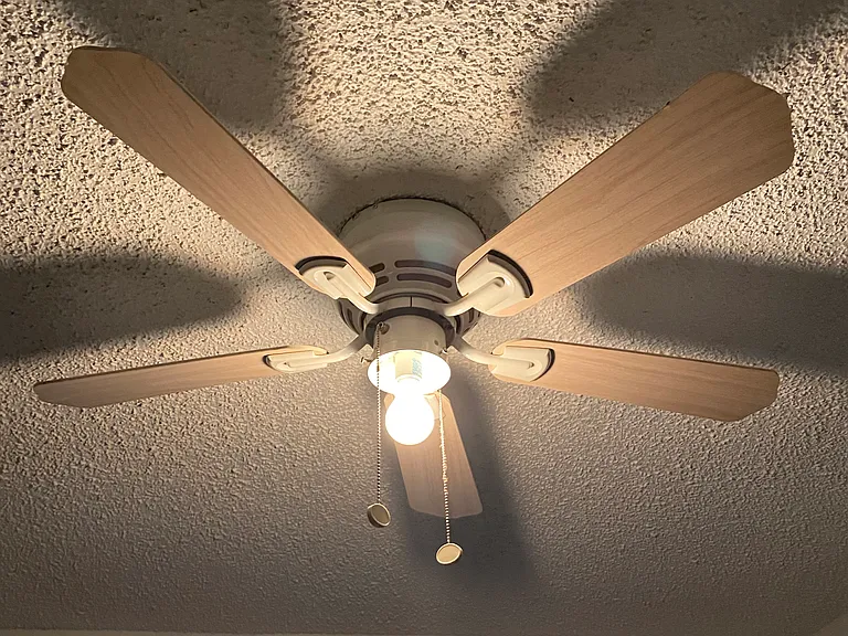 3117 Nandina Dr — Photo 2