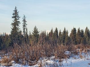 36120 Flintstone St, Anchor Point, AK 99556