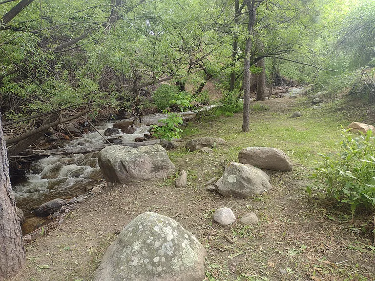 5977 Columbine Cir #2 — Photo 6